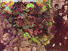 H.P. Lovecraft (2011, Vinyl NEU)
