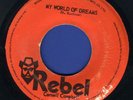 1069 CORNELL CAMPBELL-MY WORLD OF DREAMS-YES-REBEL-REGGAE 45 7