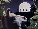 Decca SXL2060 - Mendelssohn - A Midsummer Nights Dream - Peter MAAG - RARE