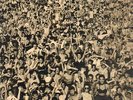 George Michael Listen Without Prejudice Vol.1 Epic Vinyl LP