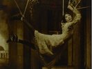 Porcupine Tree - Signify [Vinyl New]