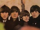 THE BEATLES BEATLES FOR SALE MONO LP VINYL 33RPM BRAND NEW 2014