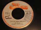 ISRAEL VIBRATION  Lift Up Your Conscience  /  Dub Fashion  TOP RANKING