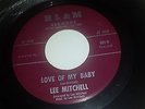 LEE MITCHELL Love Of My Baby / Forgive This Fool H L & M SWEET NORTHERN SOUL 45
