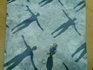 MUSE - Absolution vinyl records - gatefold 2 x LP