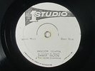 Ernest Wilson - Freedom Fighter 12