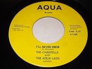 The Chantells with The Aqua Lads: I'll Never Know / Don't 45 - Northern Soul