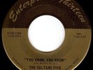 THE SULTANS FIVE - YOU KNOW, YOU KNOW - WISCONSIN FUZZ GARAGE PUNK 45  HEAR
