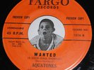 Doo Wop Rocker 45 THE AQUATONES Crazy For You / Wanted FARGO #1016 PROMO RARE