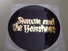 Siouxsie And The Banshees - Love In A Void / London 1977  (7'' Pic Vinyl)