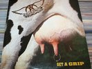 2LP  AEROSMITH - GET A GRIP - GEFFEN RECORDS GEF 24444 SPAIN 1993 HARD ROCK GLAM