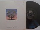 TALK TALK LAUGHING STOCK LP 331991 MADE IN HOLLAND