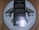 Within Temptation - PARADISE w. Tarja/DANGEROUS vinyl 7