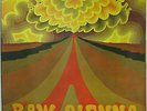 SAVOY BROWN Raw Sienna 1970 FRENCH Decca British BLUES LP Kim Simmons YOULDEN