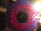 Knuckle Puck While I Stay Secluded Vinyl