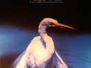 FAITH NO MORE - Angel Dust - limited gatefold 180 gram vinyl 2xLP