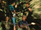CREEDENCE CLEARWATER REVIVAL - BAYOU COUNTRY  VINYL LP NEUF