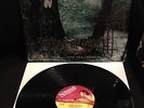 Cradle Of Filth-Dusk... And Her Embrace / Orginal LP with Poster / Ancient Rites
