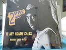 2Pac If My Homie Calls/Brenda's got a baby.  12