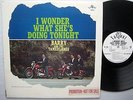 BARRY & the TAMERLANES I wonder what she's doing tonight WHITE LABEL PROMO lp cc