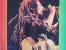 Vinyl LP - Bob Marley & The Wailers - Live in Chicago - Clear vinyl TSP  089