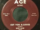 RICKY ALLEN Cut You A-Loose / Faith 45 Age northern soul hear