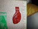 Floh de Cologne Fliessbandbabys Beat Show Lp + BALLOON. OHR Prog Kraut Krautrock