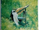 LILY Dulcimer LP Japan Psych Folk Acid Rock Soul Kimio Mizutani ?