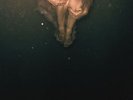 Wye Oak - Civilian Vinyl EU LP