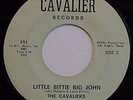 The Cavaliers Little Big John Right Now Cavalier Records 101 NM HOUSE ROCKER