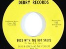 David & Jones & The Fenders 