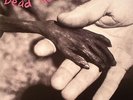 The Dead Kennedys - PLASTIC SURGERY DISASTERS  - NEW LP Vinyl 180g gatefold