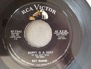 ROY GAINES SKIPPY IS A SISSY RARE BLACK ROCKER ORIGINAL 45 ROCKABILLY RCA  LABEL
