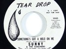 Sunny & The Sunliners 