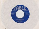 45 RPM  Gene Collins FABLE 586 I Got A Mean Feeling  BOPPER
