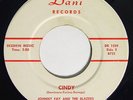 JOHNNY FAY & THE BLAZERS Cindy 45 on Dani Rare Ohio Rockabilly