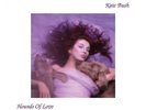 KATE BUSH Hounds of Love LP 180 gram Audio Fidelity SEALED