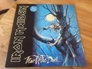 Iron Maiden 2x LP Fear of the dark 1992 EMI 1st press & Merch form NEAR MINT