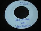 Peter Tosh & The Wailers - Them A Fi Get A Beaten / Fire Fire - Blank 45 Rare