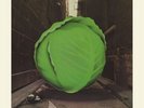 THE METERS - CABBAGE ALLEY  VINYL LP NEW+