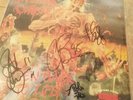 Cannibal Corpse Eaten Back To Life Signed Original Metal Blade Pressing. Mint
