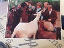 The Beach Boys Pet Sounds LP Mono
