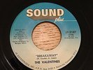 The Valentines - Sound Plus