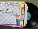 A Flock of Seagulls 