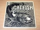 EX-   Catfish/Get Down/1970 CBS LP