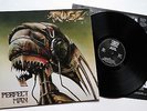 RAGE - Perfect Man LP 1988 (N 0112-1)