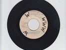 BLANK/RUN TO THE ROCK  -  THE RIGHTEOUS FLAMES   (70 REGGAE ROCKERS 7