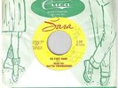 WISCONSIN ROCKABILLY 45rpm GENE SKI TROUBADOURS SIX FOOT DOWN FEELIN BAD on SARA
