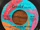 THE PARLIAMENTS   All Your Goodies Are Gone / Don't Be Sore   Revilot soul 45