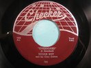 SUGAR BOY & His Cane Cutters 45 Overboard CHECKER r&b rocker